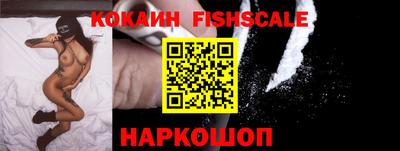 крисы Новокубанск
