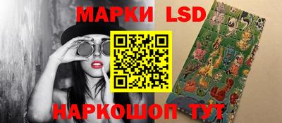 крисы Новокубанск