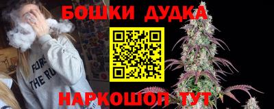 крисы Новокубанск