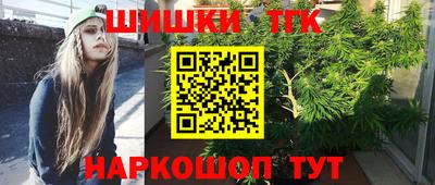 крисы Новокубанск