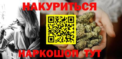 крисы Новокубанск