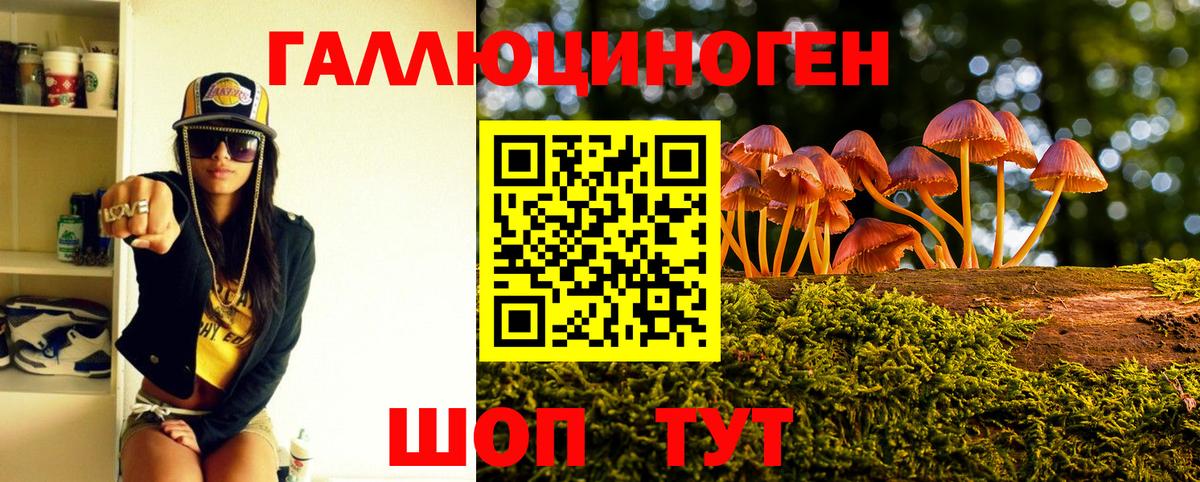Галлюциногенные грибы Psilocybe  Вход с VPN  Спасск-Дальний 
