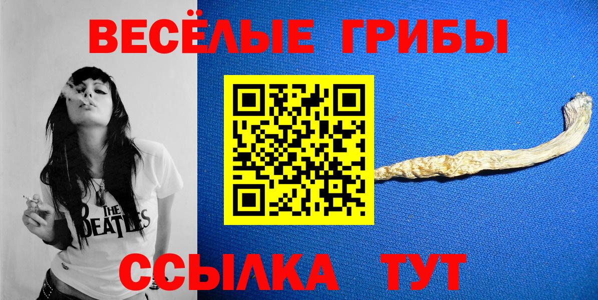 Галлюциногенные грибы Psilocybe Спасск-Дальний